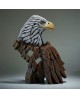 EAGLE BUST BALD BY EDGE SCULPTURE