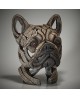 FRENCH BULLDOG BUST FAWN BY EDGE SCULPTURE