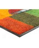 TAPIS MEADOW LANDS WASH AND DRY BY KLEEN-TEX