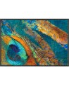 TAPIS EXOTIC PAVO WASH AND DRY BY KLEEN-TEX