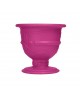 VASE POT OF LOVE FUCHSIA SLIDE