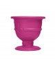 VASE POT OF LOVE FUCHSIA SLIDE