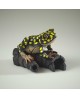 AFRICAN TREE FROG YELLOW SPOT BY EDGE SCULPTURE