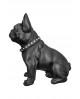 CHIEN BULLDOG GILDE
