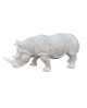 RHINOCEROS BLANC BANGALI