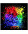TABLEAU ALU DIBOND TIGRE COULEURS SOCADIS