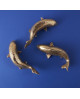 POISSON DORÉ WERNER VOSS