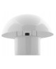 LAMPE FAT MUSHROOM PRESENT TIME