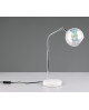 LAMPE PAXTON TRIO
