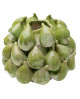 VASE FICHI 15CM KARE DESIGN