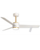 VENTILATEUR ESKRISS