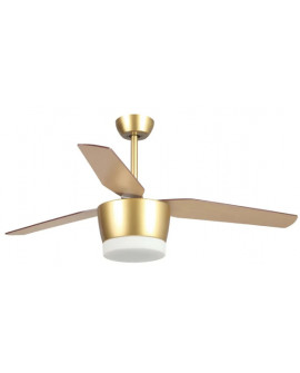 VENTILATEUR AMUR ESKRISS