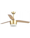 VENTILATEUR AMUR ESKRISS