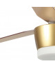 VENTILATEUR AMUR ESKRISS