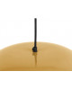 SUSPENSION WAVED PRESENT TIME