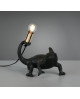LAMPE CRAWLY TRIO