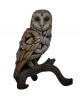 BARN OWL BY EDGE SCULPTURE