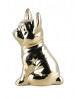 FIGURINE BOULEDOGUE MOLLY MIRRORS & MORE
