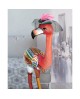 FLAMANT ROSE FELICITY XL TOM'S DRAG