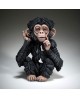 CHIMPANZEE CUB BY EDGE SCULPTURE
